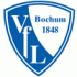 14.Platz: VfL Bochum